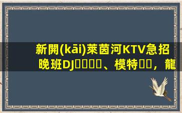 新開(kāi)萊茵河KTV急招晚班DJ、模特，龍姐在杭州帶你上班